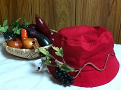 080908p2.jpg